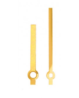 AIGUILLE JAUNE POUR...