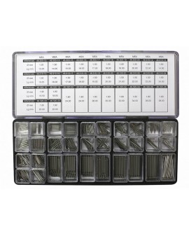 ASS BARRETTES DOUBLE...