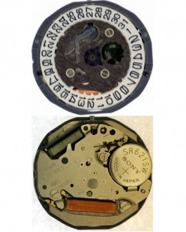 Mouvement Citizen-Miyota...