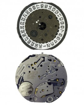 Mouvement Citizen-Miyota...