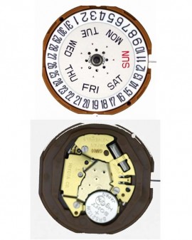 Mouvement Citizen-Miyota...