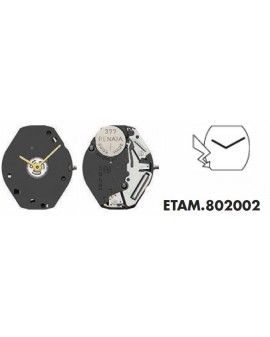 Mouvement ETA 802001