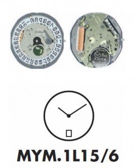 Mouvement Citizen-Miyota...