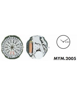 Mouvement Citizen-Miyota...