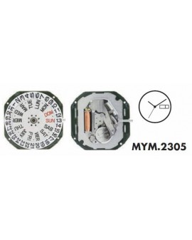 Mouvement Citizen-Miyota...