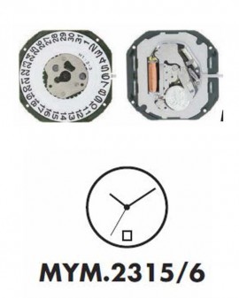 Mouvement Citizen-Miyota...