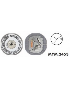 Mouvement Citizen-Miyota...