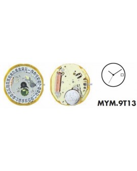 Mouvement Citizen-Miyota...