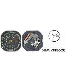 Mouvement Seiko 7N3620