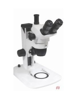 Stéréomicroscope...
