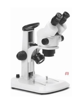Stéréomicroscope avec tête...