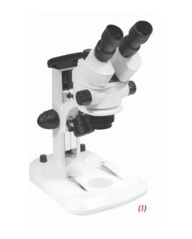 Stéréomicroscope avec tête...