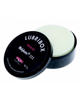 LUBRIBOX AVEC 2 COUSSINS EN...