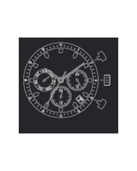 Mouvement Citizen Miyota JP...