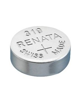 Piles Renata 319   SR 527 SW