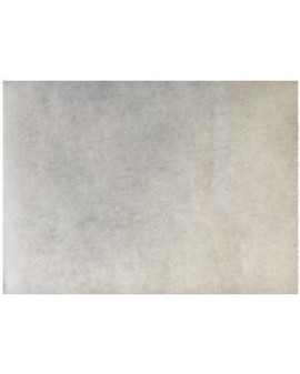 FILTRE EN FIBRE POUR LES...