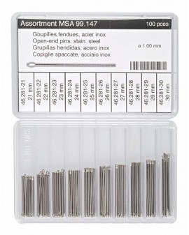 ASSORTIMENT 100 GOUPILLES...