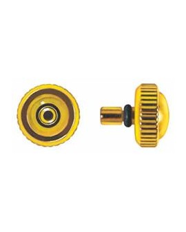 COURONNE 30M98 J ØG1,00...