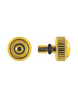 COURONNE 25M04 J ØG1,00...