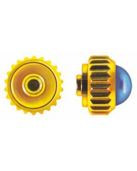 COURONNE ANTIP. PIERRE...