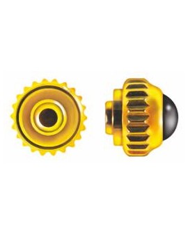 COURONNE ANTIP. PIERRE...