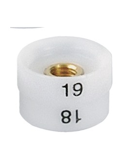 REVERSIBLE SCREW-ON DIE FOR...