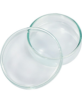 BOÎTE EN VERRE AVEC...