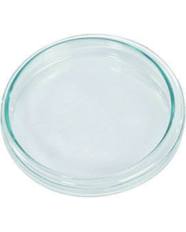 GLASS DISH WITH LID, Ø EXT....