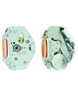 Mouvement Citizen-Miyota...